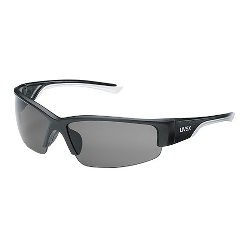 Skyddsglasögon UVEX 9231 Polavision